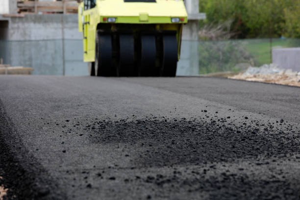 Best Interlocking Driveway Pavers  in Auburn, NY